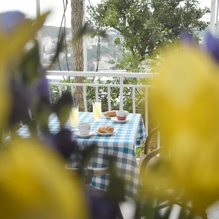 Monika Guest house 3*