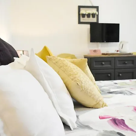 Monika دوبروفينك