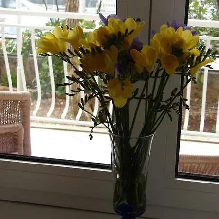 بيت ضيافة Monika دوبروفينك