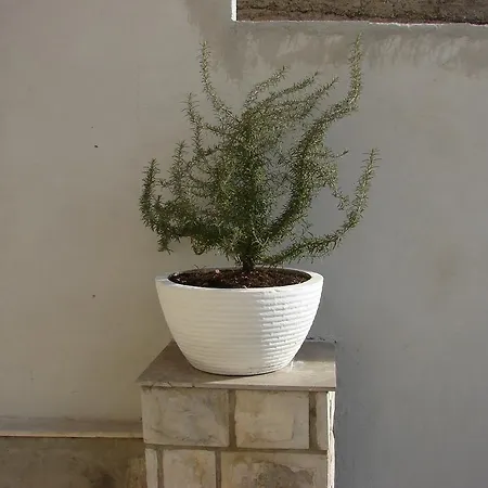 بيت ضيافة Monika دوبروفينك